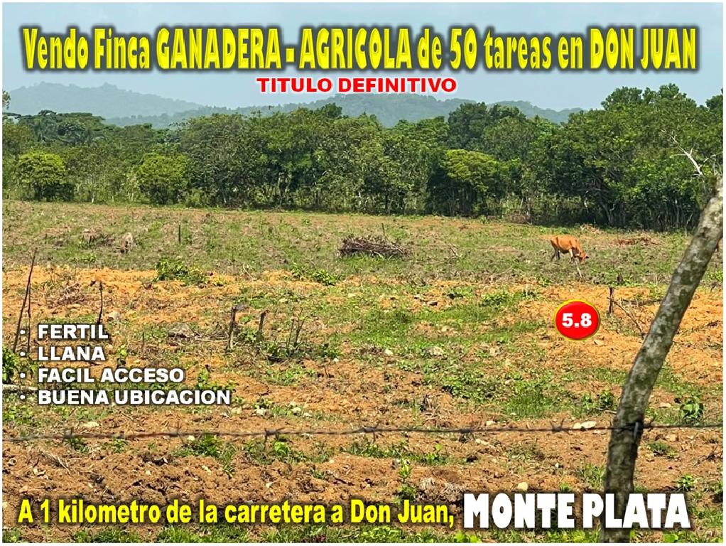 Vendo Finca GANADERA – AGRICOLA de 50 tareas en DON JUAN MONTE PLATA Foto 7316001-1.jpg