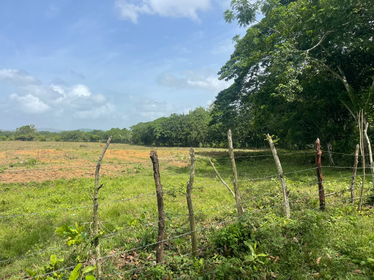 Vendo Finca GANADERA – AGRICOLA de 50 tareas en DON JUAN MONTE PLATA Foto 7316001-2.jpg