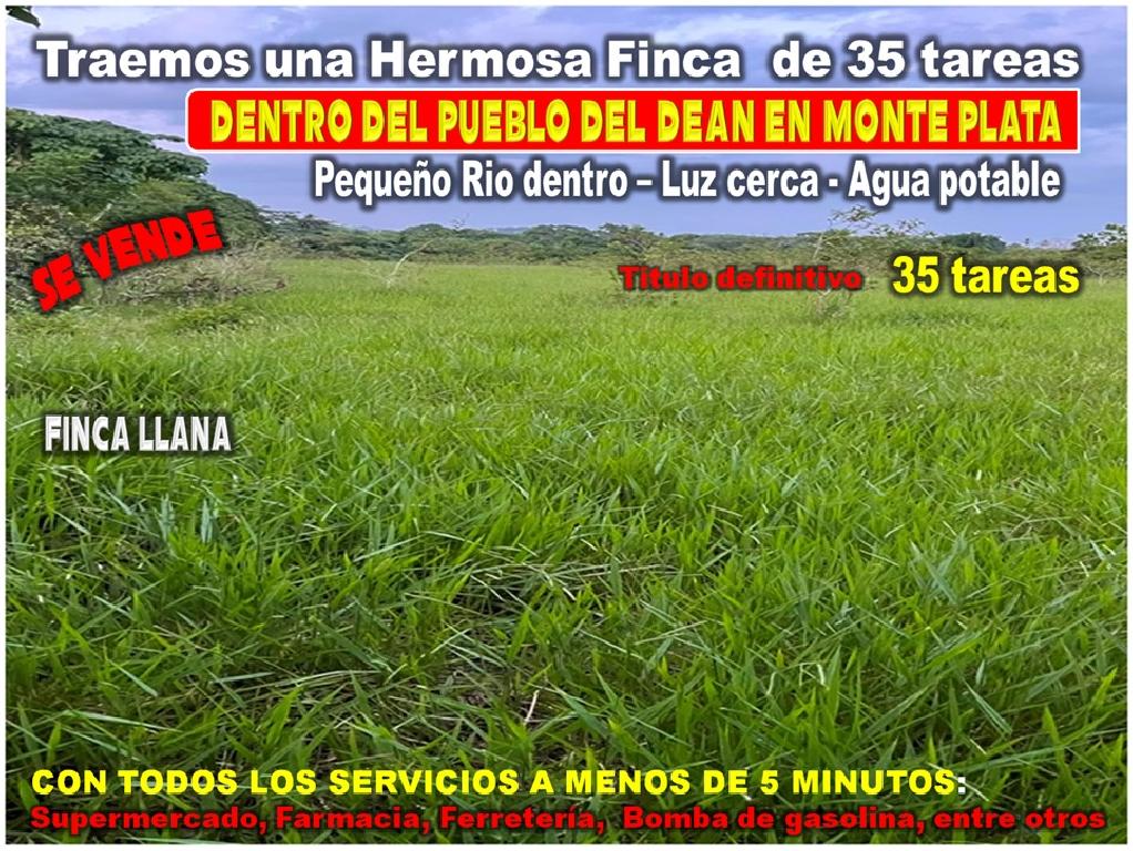 Vendo Finca GANADERA – AGRICOLA de 35 tareas dentro del DEAN MONTE PLA Foto 7316179-1.jpg