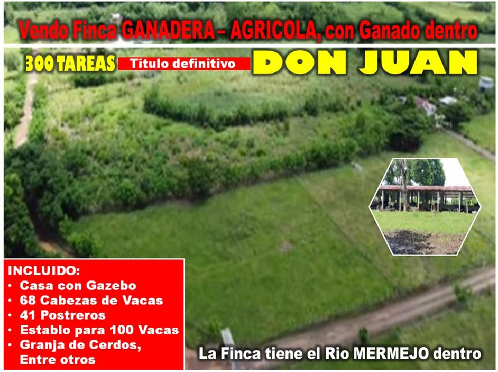 Vendo SUPER Finca Ganadera y Agrícola 300 Tareas en Don Juan Monte Pla Foto 7316180-1.jpg