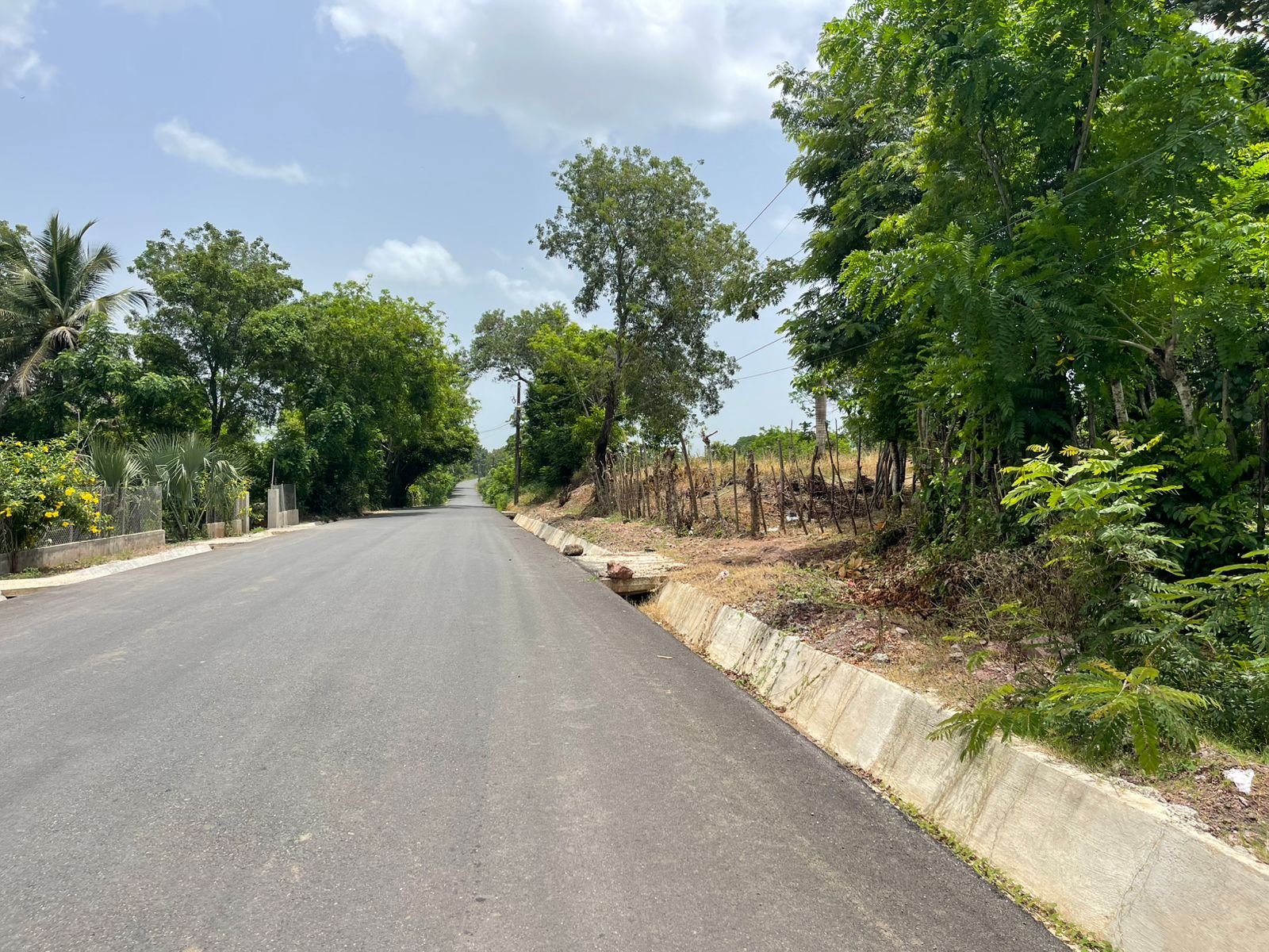 Vendo Finca de 1650 tareas en Santo Domingo Norte a la Orilla del ASFA Foto 7316181-10.jpg