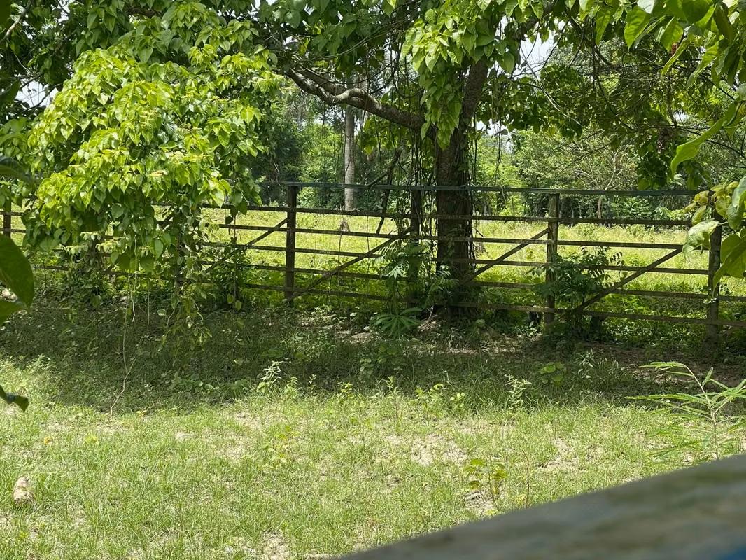 Vendo Finca de 1650 tareas en Santo Domingo Norte a la Orilla del ASFA Foto 7316181-2.jpg