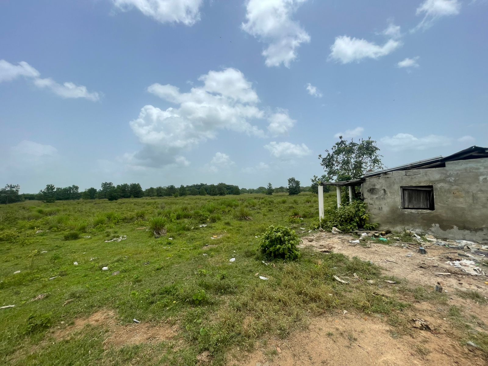 Vendo Finca de 1650 tareas en Santo Domingo Norte a la Orilla del ASFA Foto 7316181-3.jpg