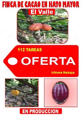 ULTIMA REBAJA en Finca de CACAO en PRODUCCION 112 tareas en El Valle d Foto 7316183-1.jpg