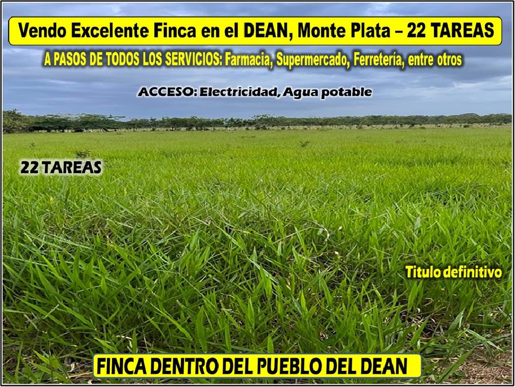 Vendo Finca GANADERA – AGRICOLA de 22 tareas dentro del DEAN MONTE PLA Foto 7316184-1.jpg