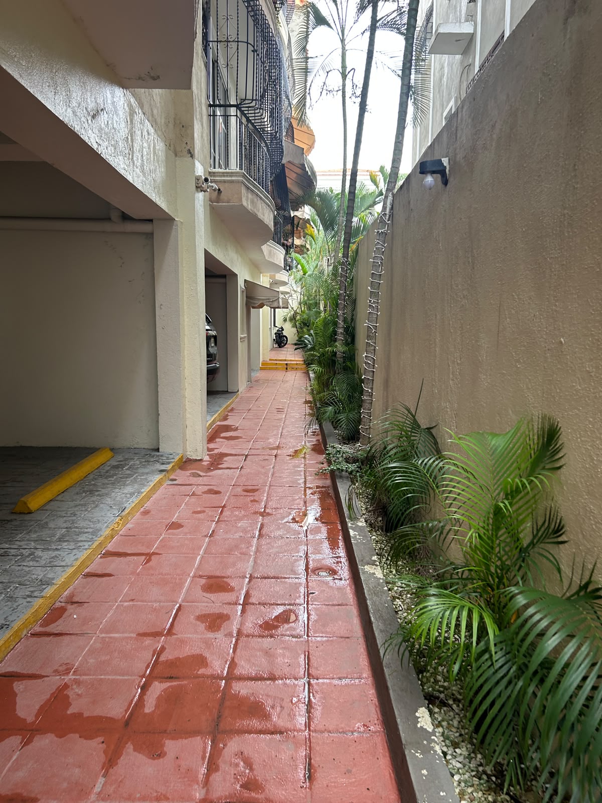 Apartamento en Alquiler  El Millón Distrito Nacional Foto 7316860-12.jpg