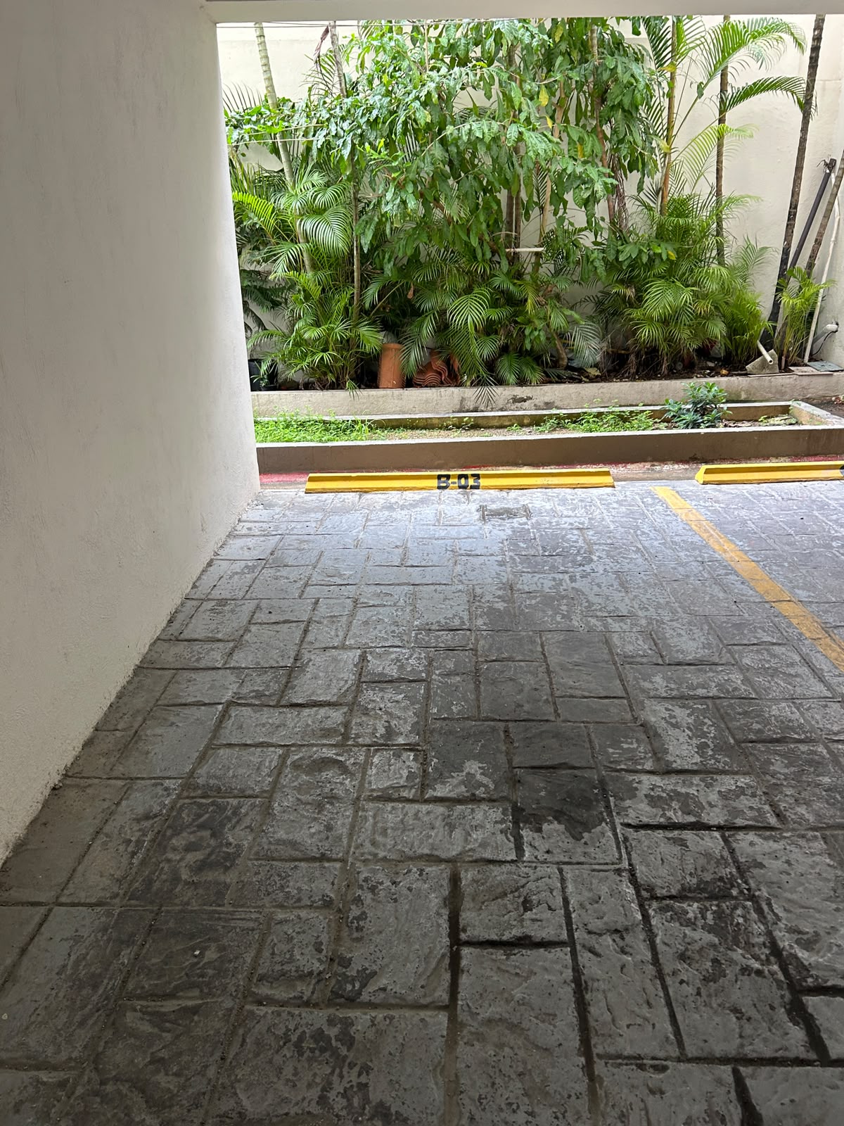 Apartamento en Alquiler  El Millón Distrito Nacional Foto 7316860-13.jpg