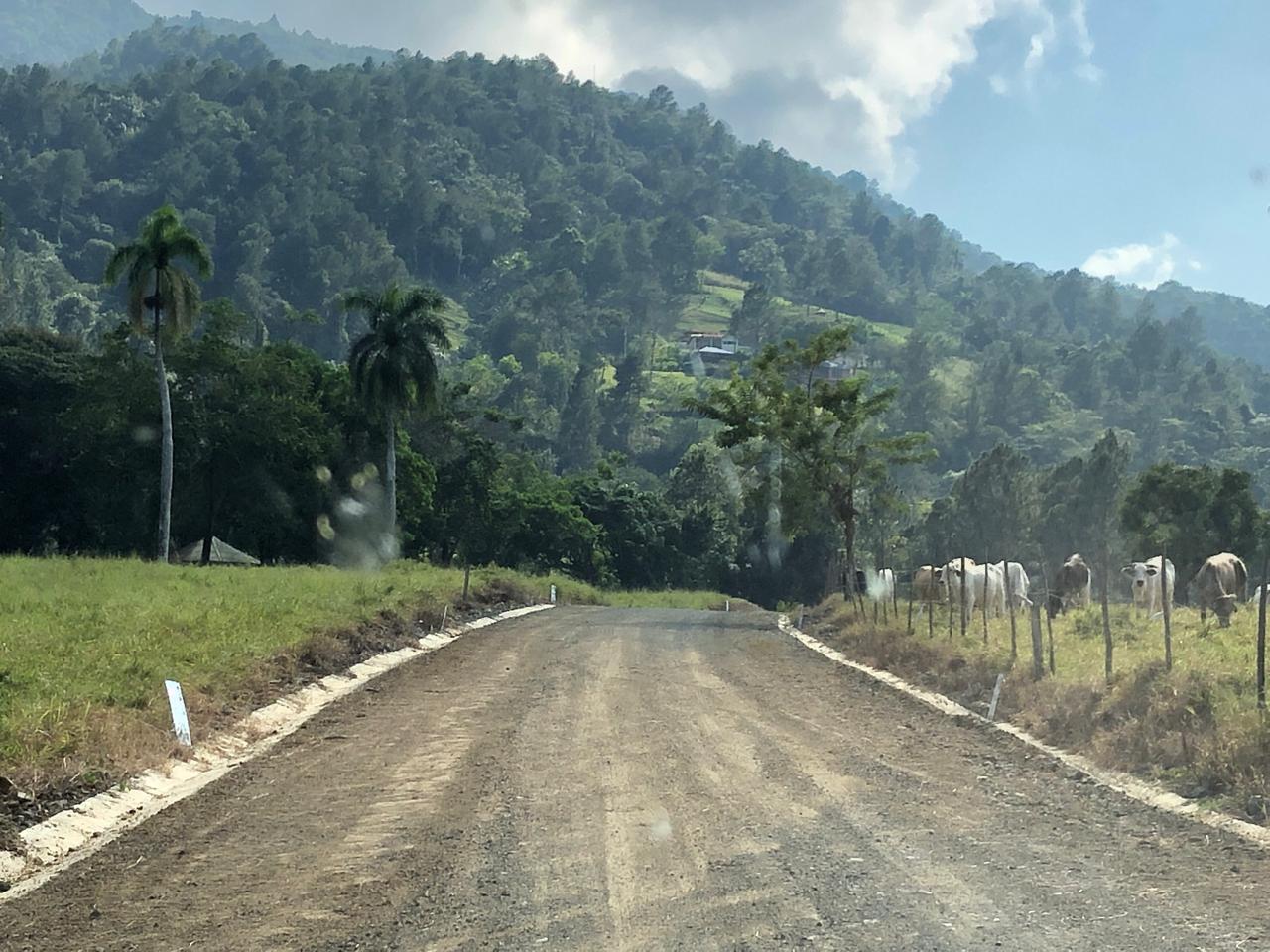 Jarabacoa solar en Monte Sierra Foto 7317440-4.jpg