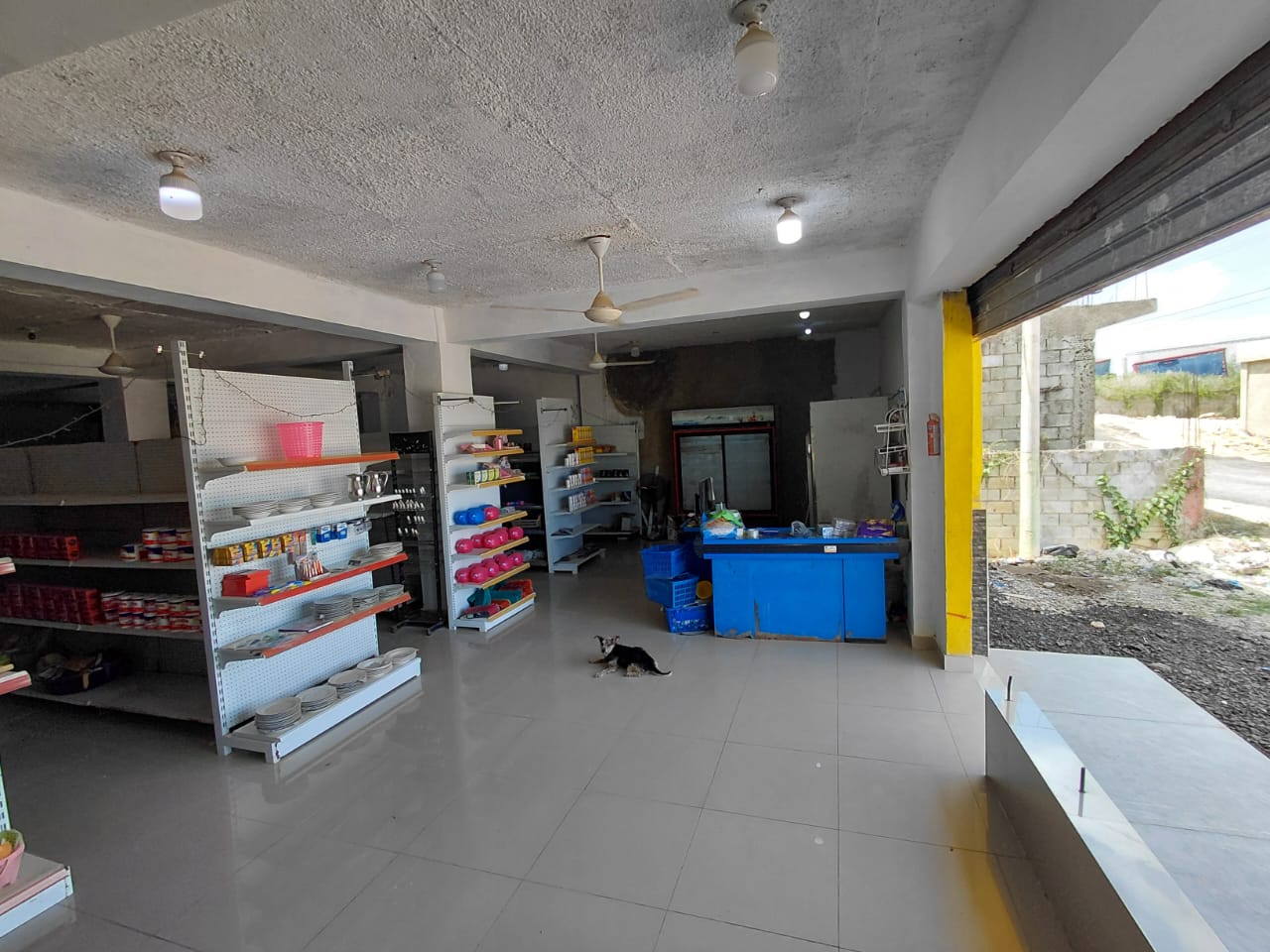 Nave Comercial en Venta 300 m – Próxima a Av. Ecológica Foto 7318315-6.jpg