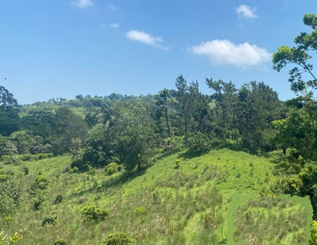 Vendo 100000 Mts.2 de Terreno en BUENA VISTA JARABACOA Cerca del RAQUE Foto 7318687-4.jpg