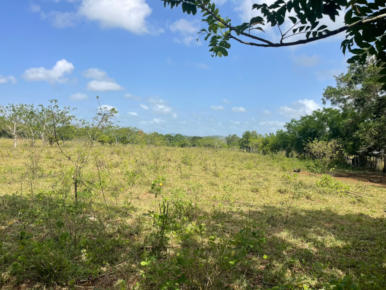 Vendo Finca GANADERA – AGRICOLA de 135 tareas en DON JUAN MONTE PLATA Foto 7318742-10.jpg