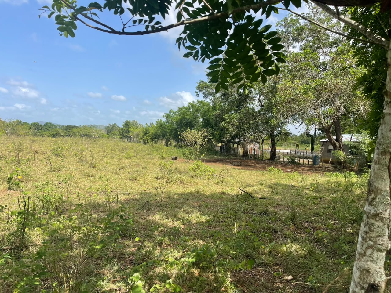 Vendo Finca GANADERA – AGRICOLA de 135 tareas en DON JUAN MONTE PLATA Foto 7318742-4.jpg