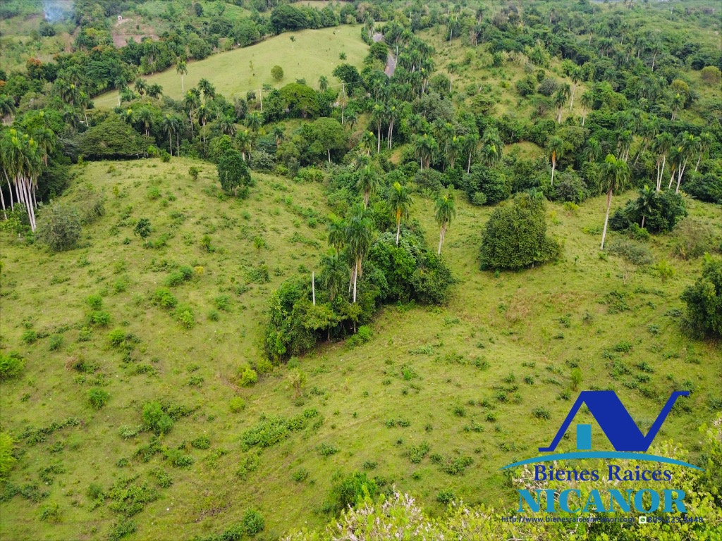 Finca ganadera en venta de 2300 tareas en adelante  Foto 7318896-11.jpg