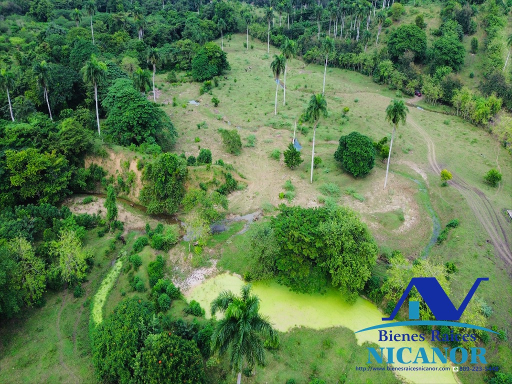Finca ganadera en venta de 2300 tareas en adelante  Foto 7318896-14.jpg