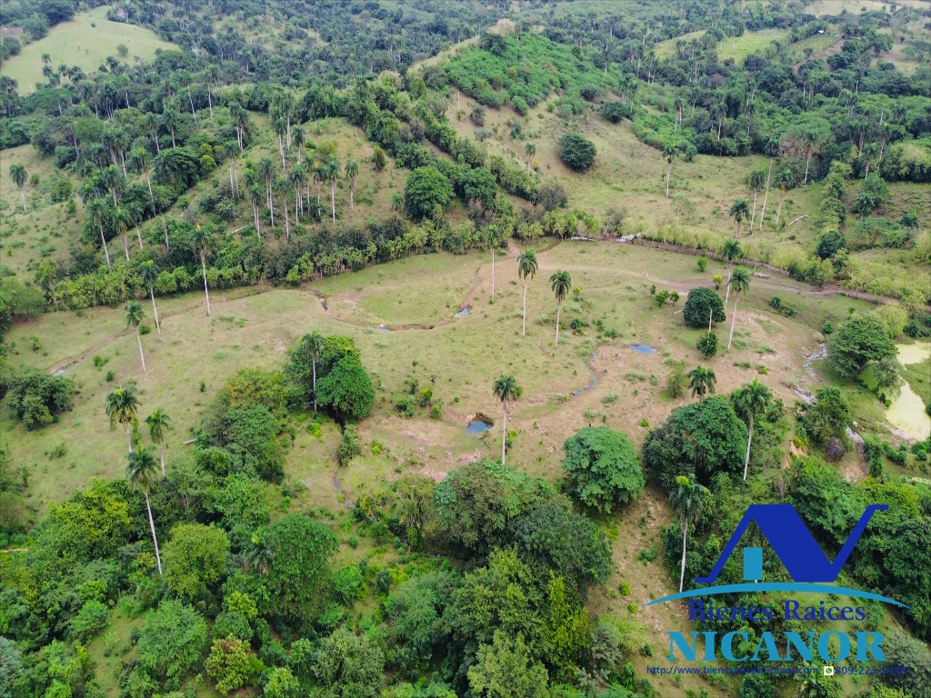 Finca ganadera en venta de 2300 tareas en adelante  Foto 7318896-15.jpg