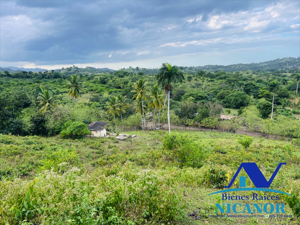 Finca ganadera en venta de 2300 tareas en adelante  Foto 7318896-3.jpg
