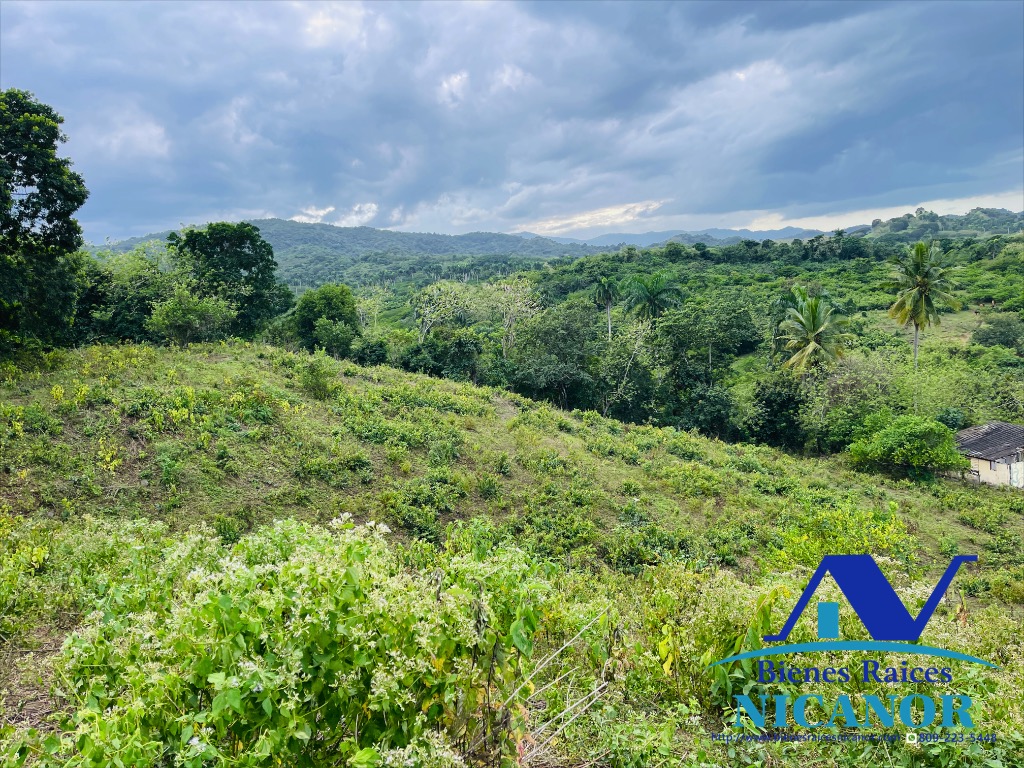 Finca ganadera en venta de 2300 tareas en adelante  Foto 7318896-4.jpg