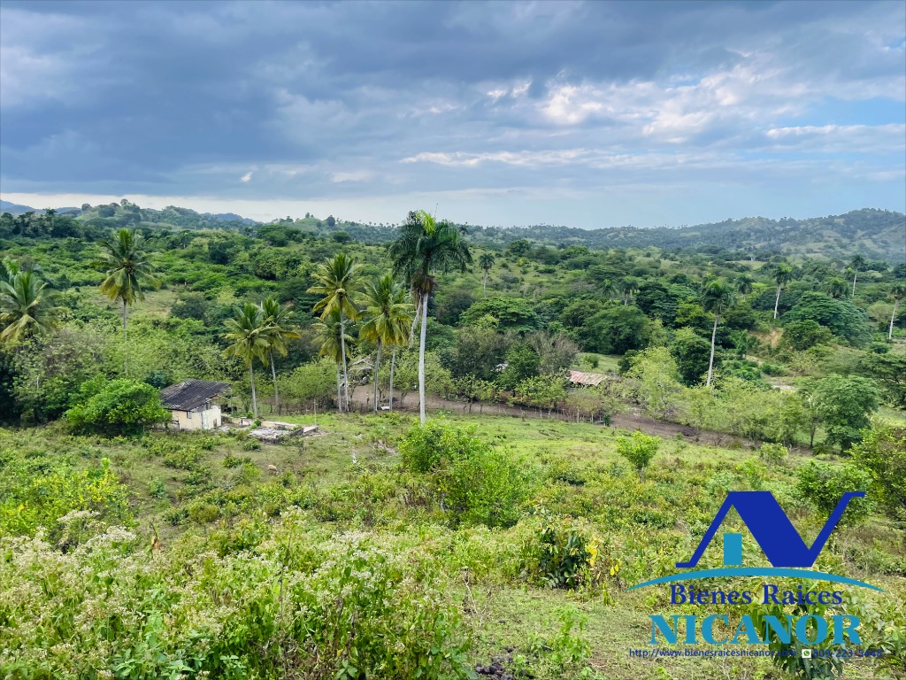 Finca ganadera en venta de 2300 tareas en adelante  Foto 7318896-5.jpg