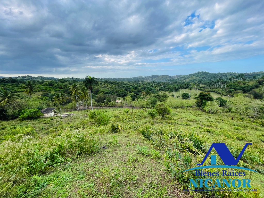Finca ganadera en venta de 2300 tareas en adelante  Foto 7318896-7.jpg
