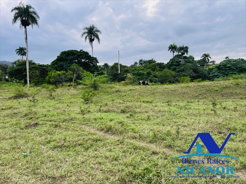 Finca ganadera en venta de 2300 tareas en adelante  Foto 7318896-8.jpg