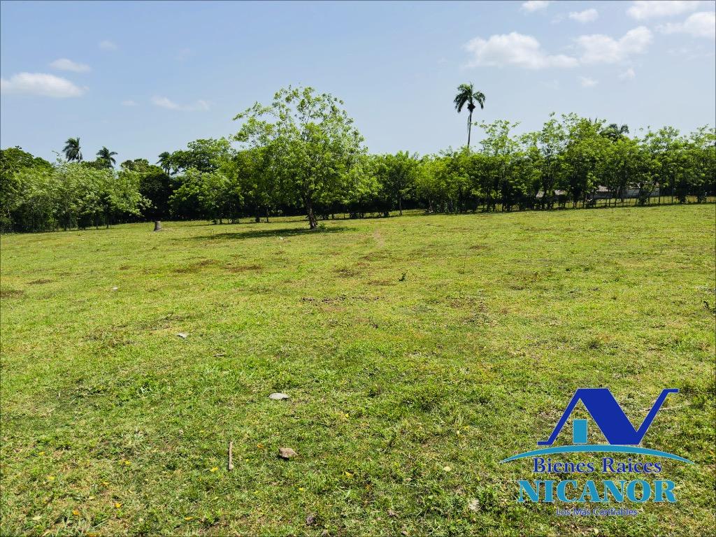 Finca ganadera de 825 tareas en venta Foto 7318897-1.jpg