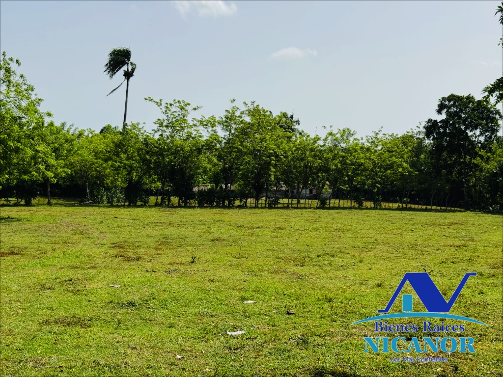 Finca ganadera de 825 tareas en venta Foto 7318897-10.jpg