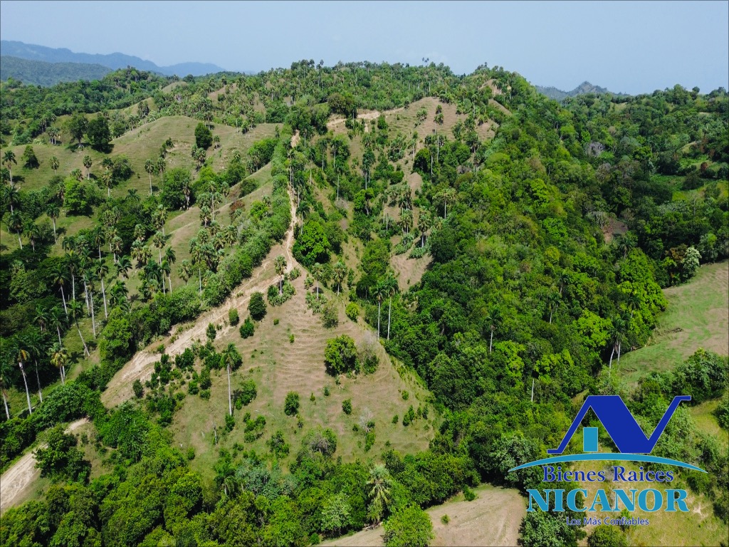 Finca ganadera de 825 tareas en venta Foto 7318897-13.jpg
