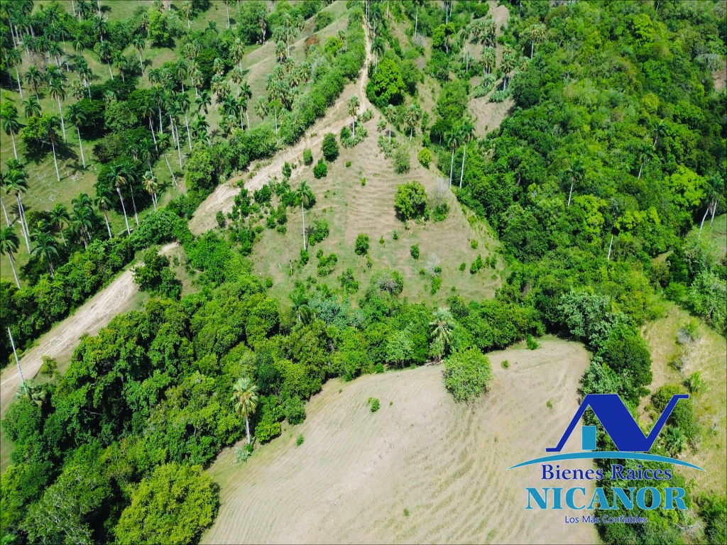 Finca ganadera de 825 tareas en venta Foto 7318897-14.jpg