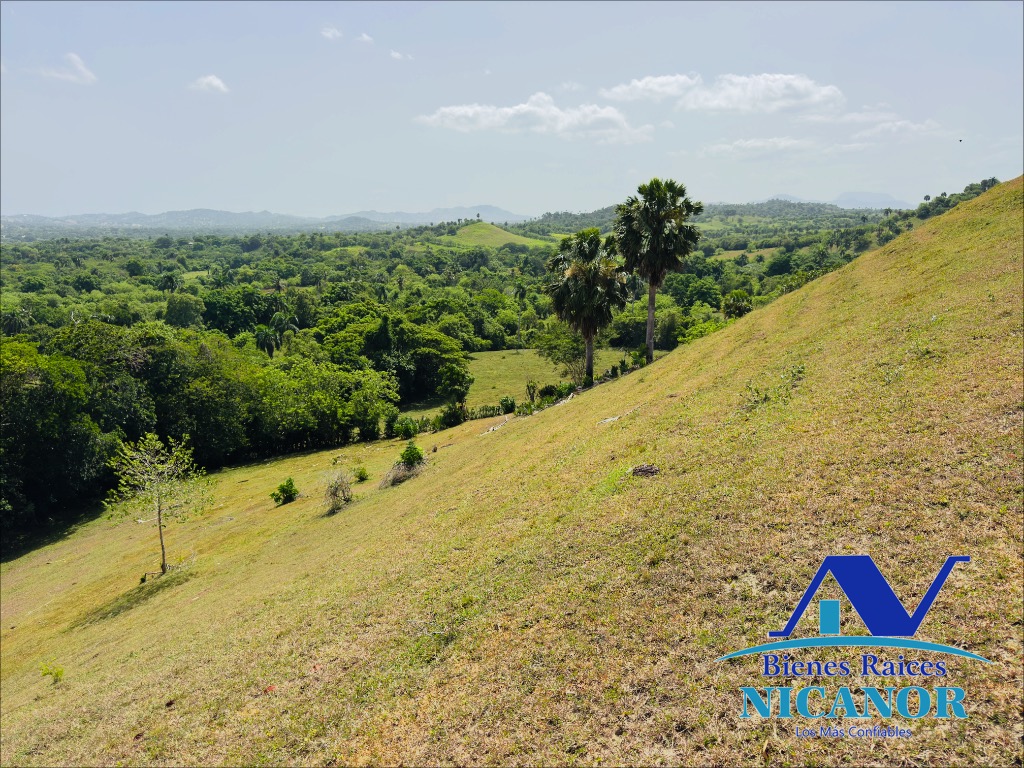Finca ganadera de 825 tareas en venta Foto 7318897-3.jpg