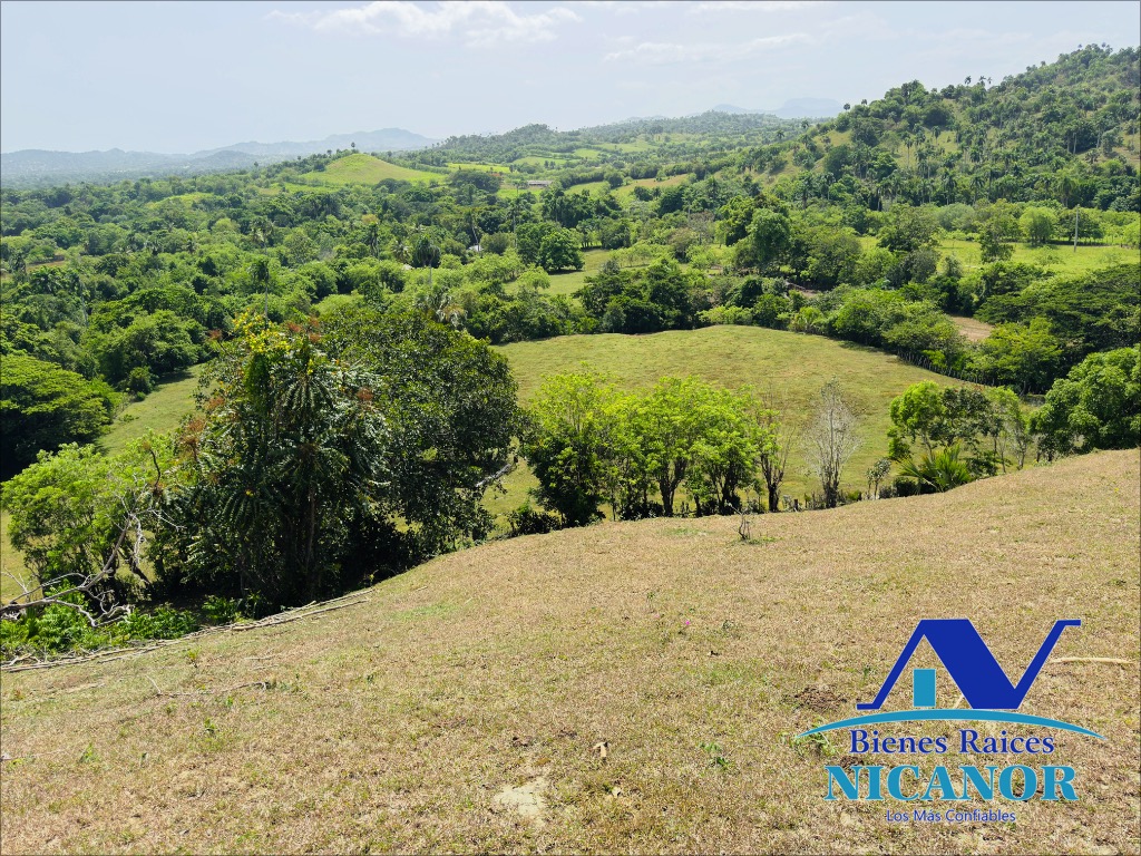 Finca ganadera de 825 tareas en venta Foto 7318897-5.jpg