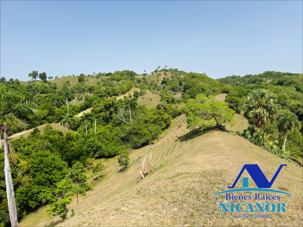 Finca ganadera de 825 tareas en venta Foto 7318897-6.jpg