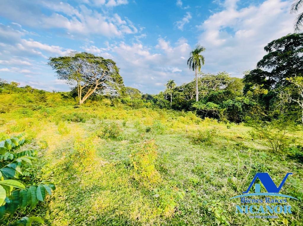 Finca ganadera de 1150 tareas en venta en Guananico Foto 7318907-1.jpg