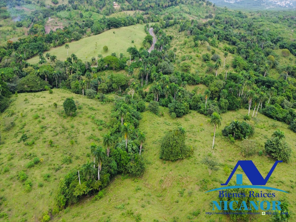Finca de 5200 tareas en venta  Foto 7318911-14.jpg