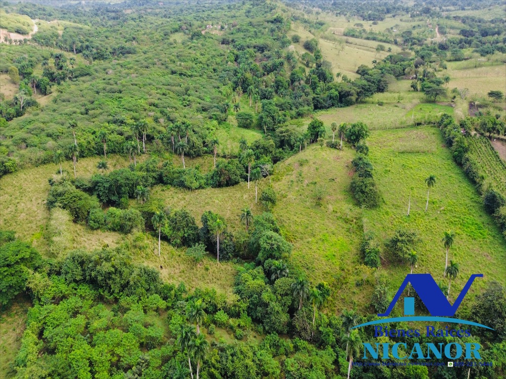 Finca de 5200 tareas en venta  Foto 7318911-15.jpg
