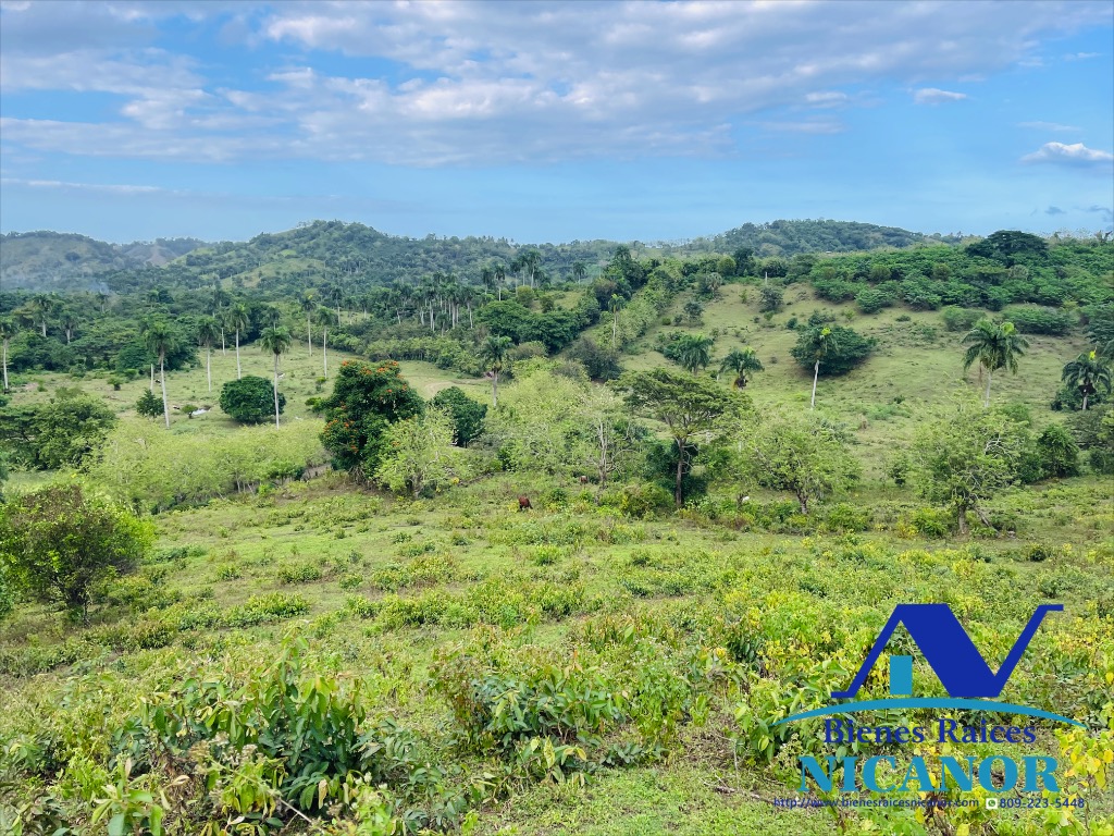 Finca de 5200 tareas en venta  Foto 7318911-2.jpg