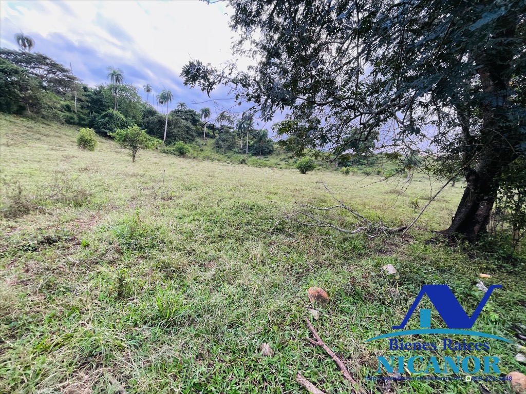 Finca de 5200 tareas en venta  Foto 7318911-8.jpg