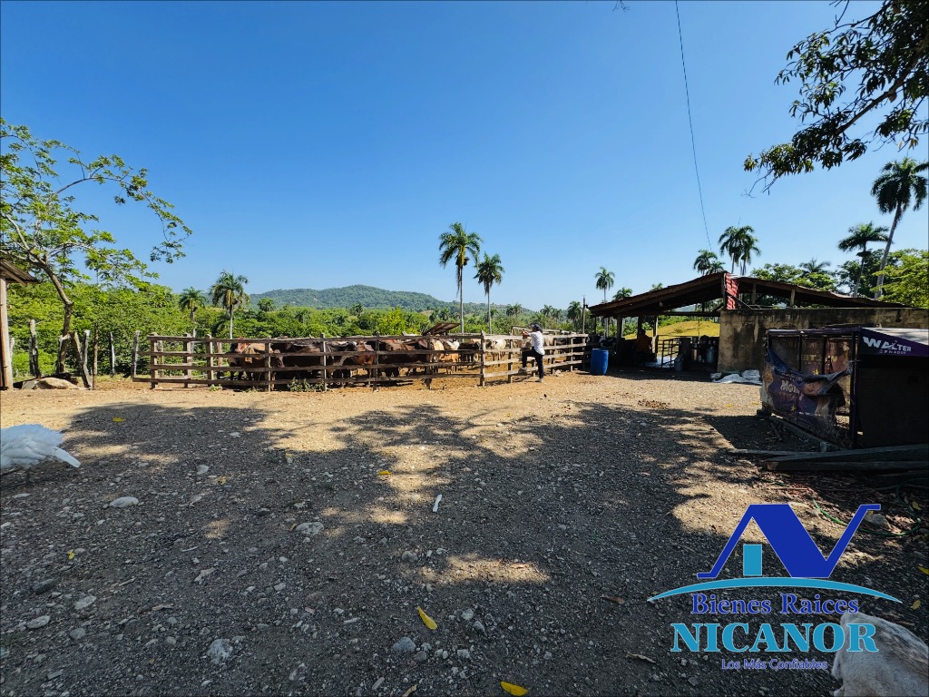 Finca de 846 tareas en venta en Guananico puerto plata Foto 7318915-12.jpg