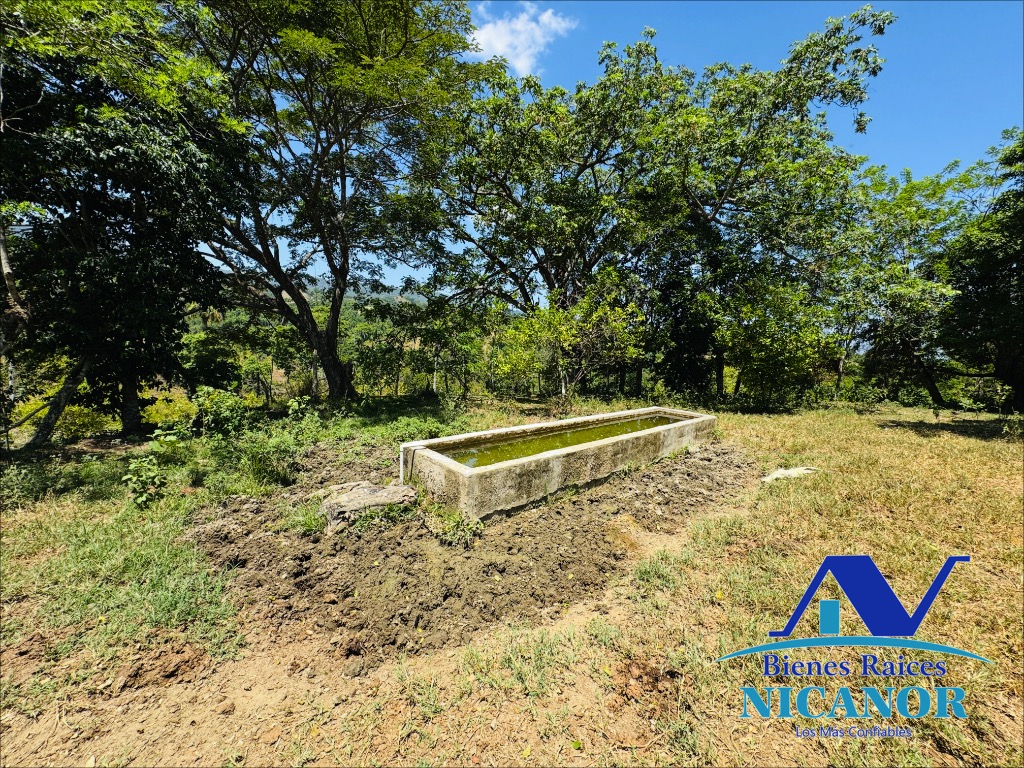 Finca de 846 tareas en venta en Guananico puerto plata Foto 7318915-15.jpg