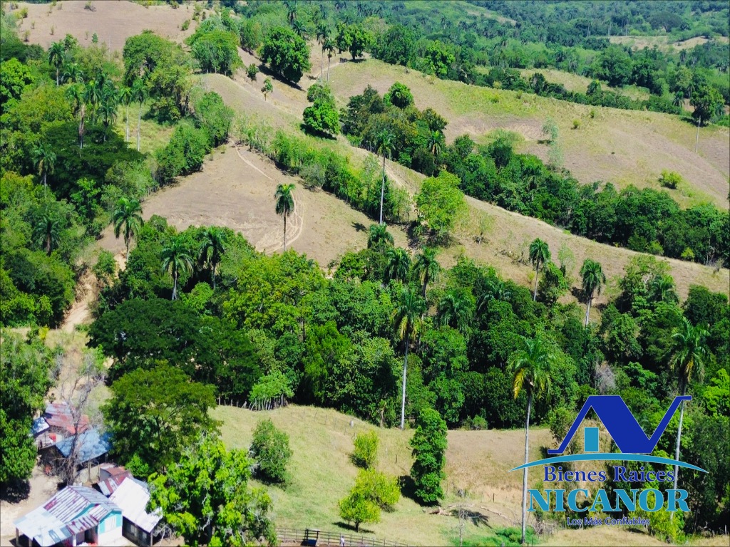 Finca de 846 tareas en venta en Guananico puerto plata Foto 7318915-3.jpg