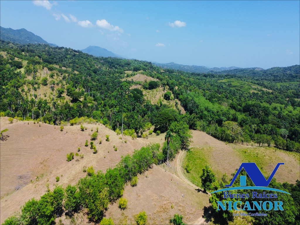 Finca de 846 tareas en venta en Guananico puerto plata Foto 7318915-6.jpg