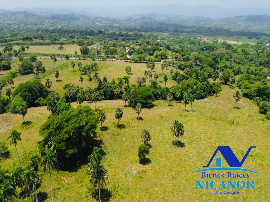 Finca de 1010 tareas en venta  Foto 7318923-11.jpg