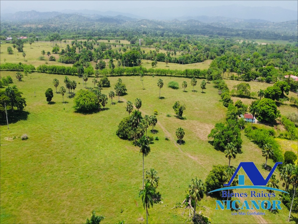 Finca de 1010 tareas en venta  Foto 7318923-12.jpg
