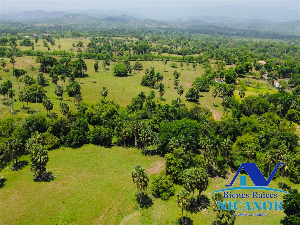 Finca de 1010 tareas en venta  Foto 7318923-13.jpg