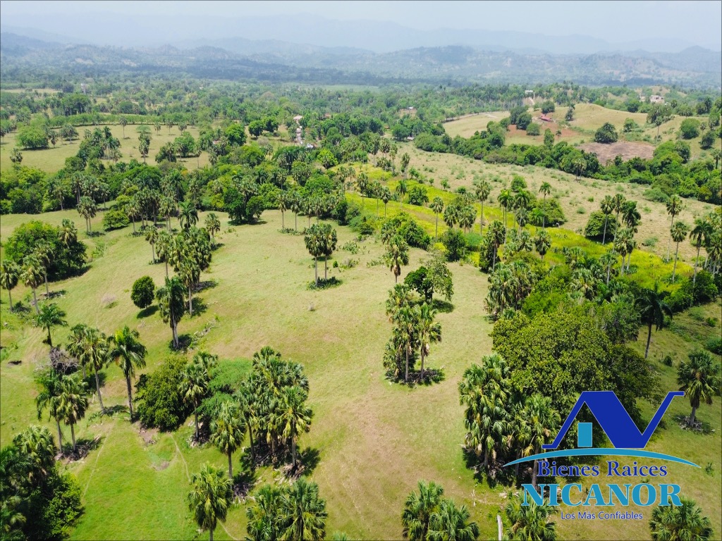 Finca de 1010 tareas en venta  Foto 7318923-14.jpg