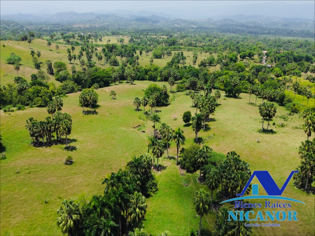 Finca de 1010 tareas en venta  Foto 7318923-15.jpg