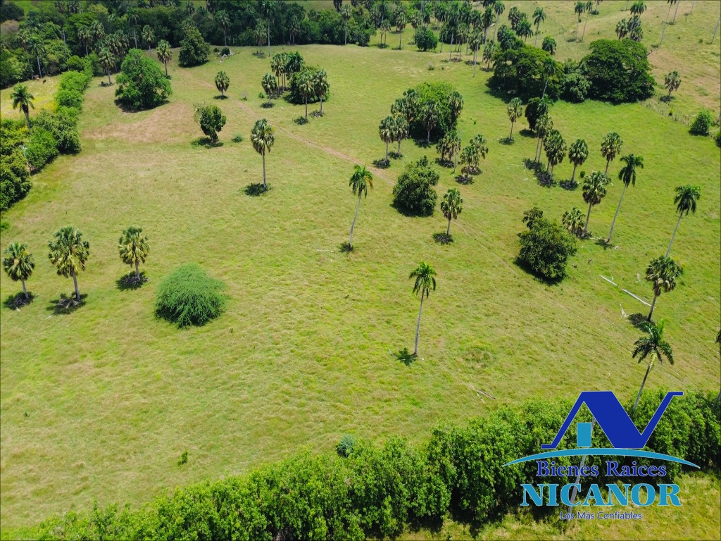 Finca de 1010 tareas en venta  Foto 7318923-4.jpg