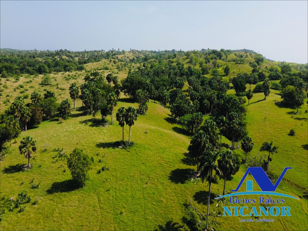 Finca de 1010 tareas en venta  Foto 7318923-5.jpg