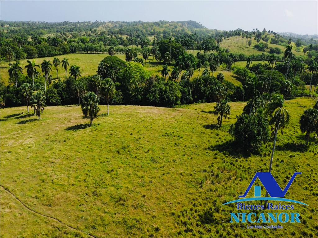 Finca de 1010 tareas en venta  Foto 7318923-6.jpg