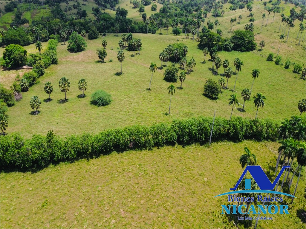 Finca de 1010 tareas en venta  Foto 7318923-9.jpg