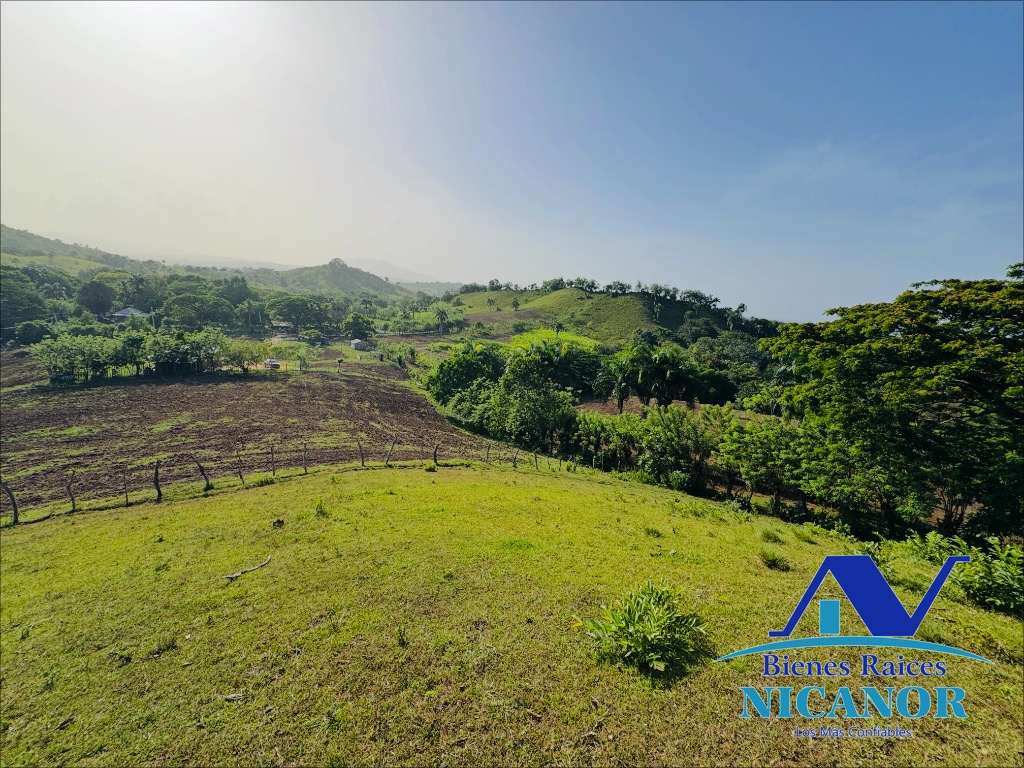Finca de 278 tareas en venta Foto 7318926-10.jpg